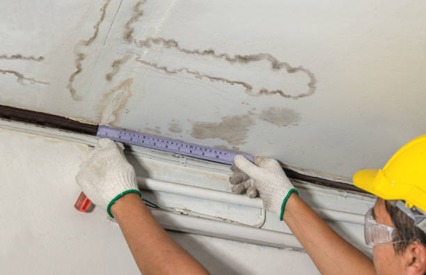Reliable Water Damage contractor in Grandview, TX by Water Damage Irwin